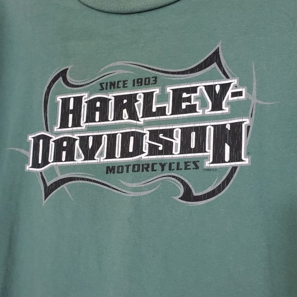 Harley-Davidson Green Juneau, Alaska Tee, Size Medium - Picture 7 of 12